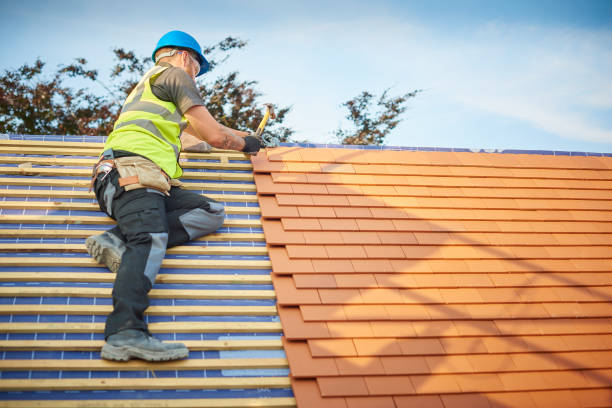 Best Rubber Roofing (EPDM, TPO)  in The Hills, TX